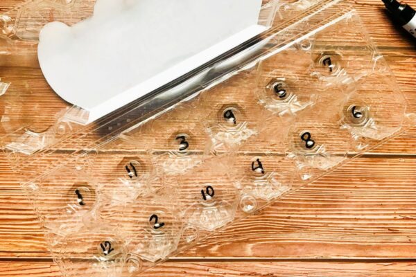 Button's Up! - Image 4