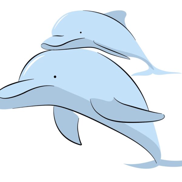 Mammals