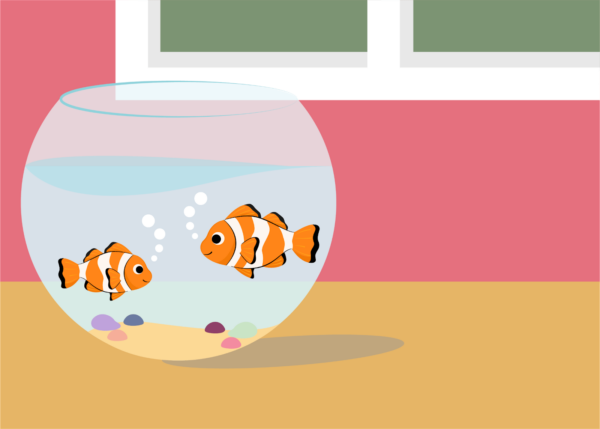 Great Fishes!