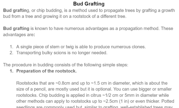 Bud Anew - Image 2