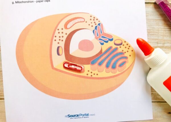Bacteria-ssemble - Image 5