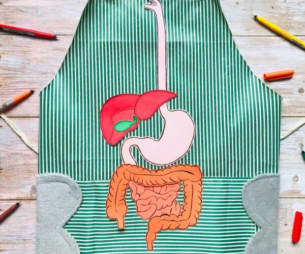 Digestive System Apron