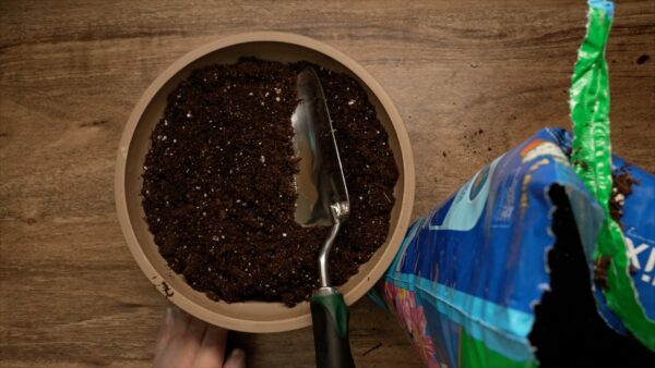 Miniature Wonderland - Image 3