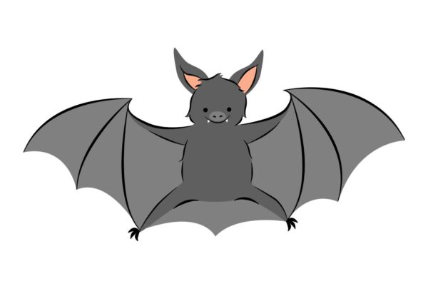 Mammals - Image 5