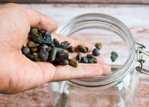 Terrarium Making - Image 3