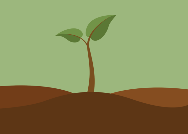 Plants and Their Products