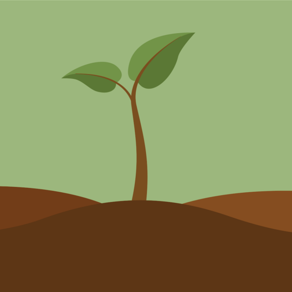 Plants and Their Products