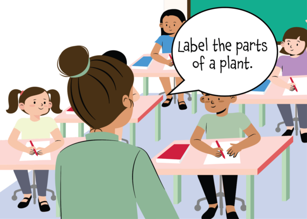 Parts of a Plant - Image 3