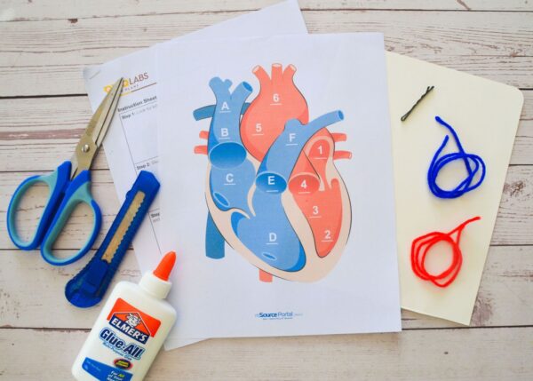 Heart-way - Image 2