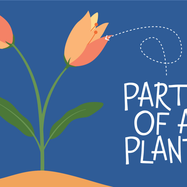Parts of a Plant