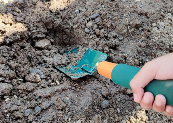 Let's Plant! - Image 4