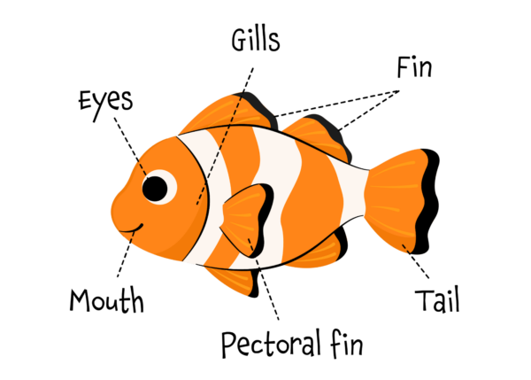 Great Fishes! - Image 2