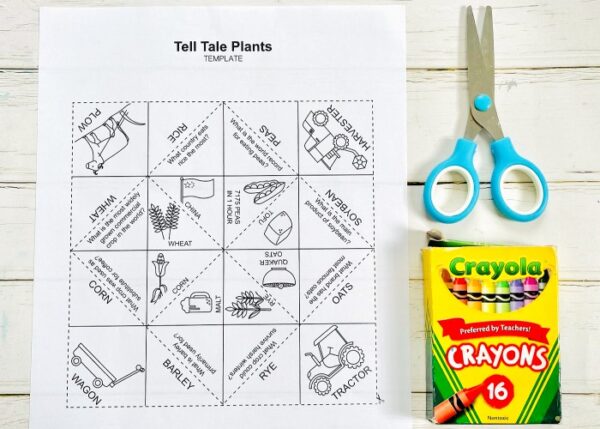 Tell Tale Plants - Image 2