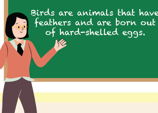 Is It a Bird? - Image 2