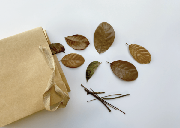 Natural Art - Image 3