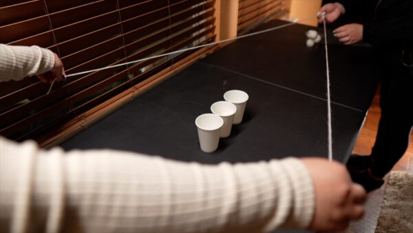 Strings to the Goal - Image 5
