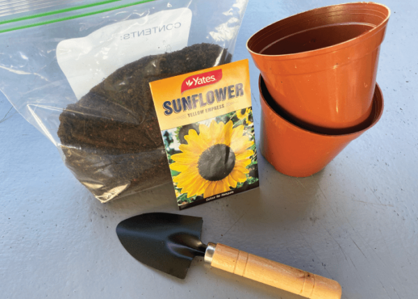 Pop It and Watch It Grow!  - Image 2