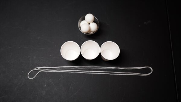 Strings to the Goal - Image 2