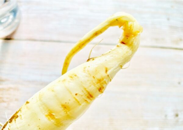 Regrowing Radishes - Image 5