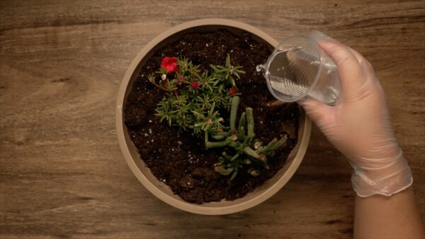 Miniature Wonderland - Image 5