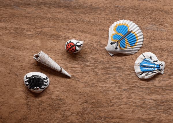 Colorful Shells! - Image 5
