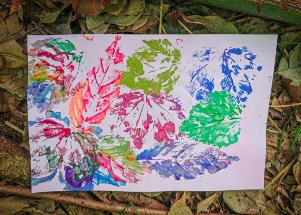 Chromatica-Leaf - Image 3