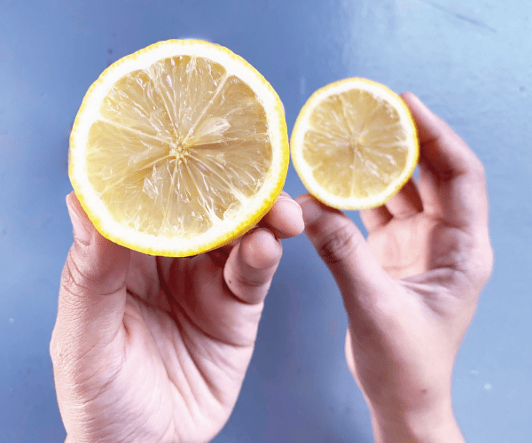 Plant the Citrus Tree