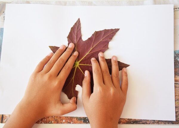 Colorful Leaf Profile - Image 3