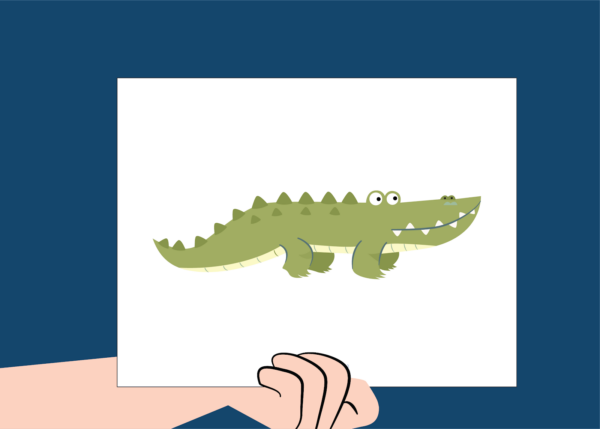 Reptiles - Image 5