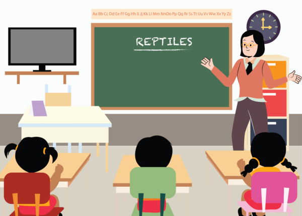 Reptiles - Image 3