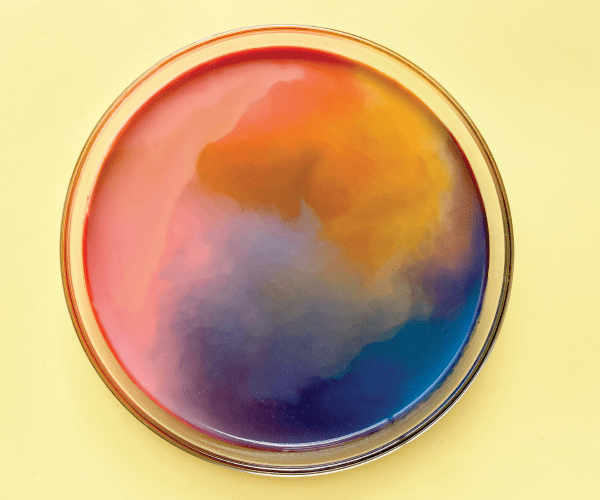 Beautiful Sticky Colors