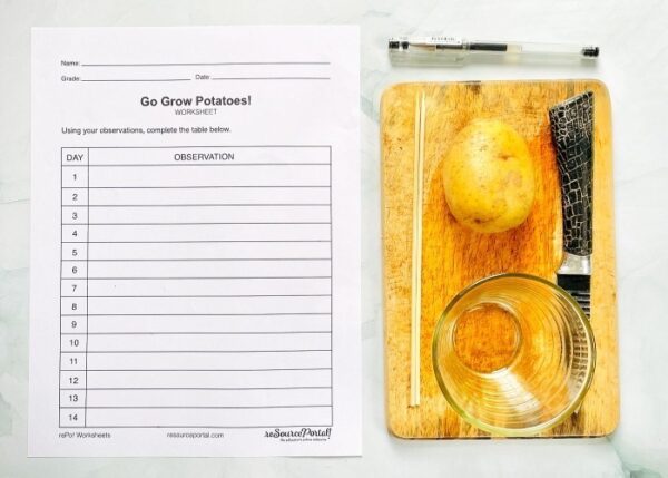 Go Grow Potatoes - Image 2