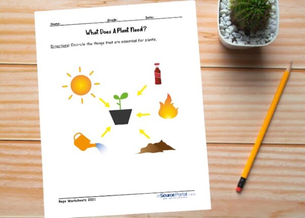 What Does a Plant Need? - Image 3