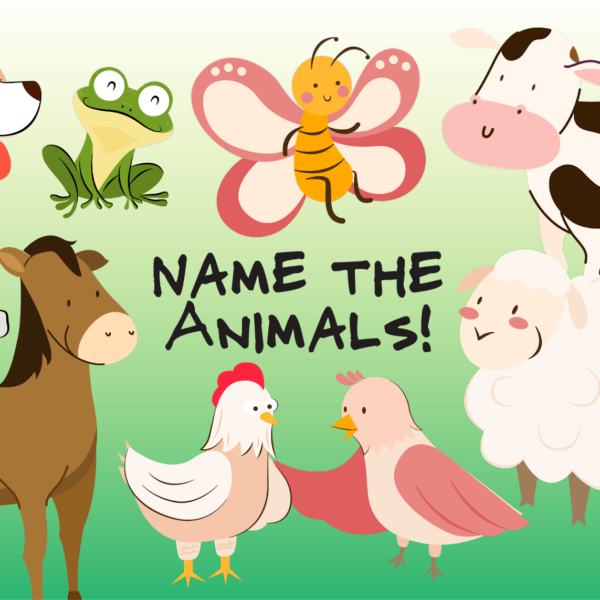 Name the Animals!