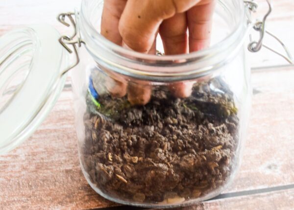 Terrarium Making - Image 4