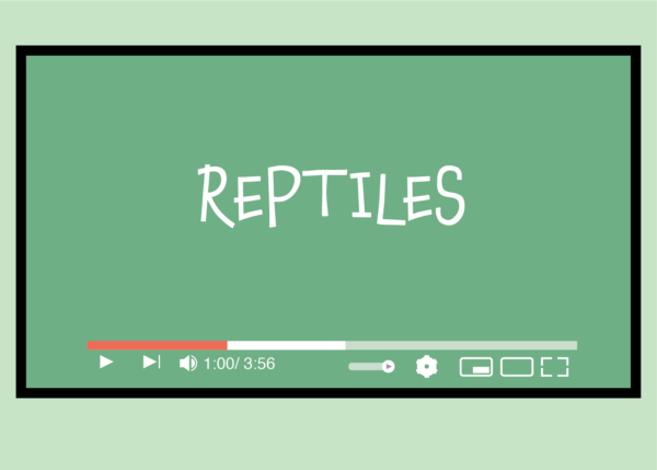 Reptiles - Image 2