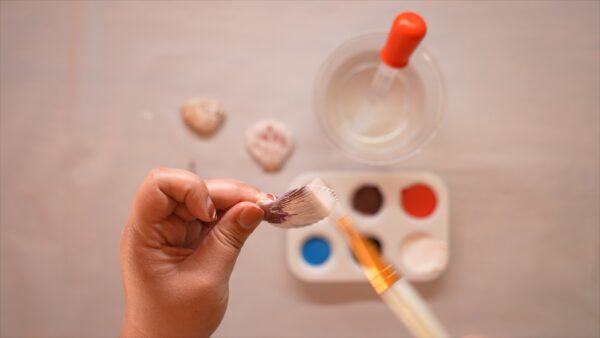 Colorful Shells! - Image 4