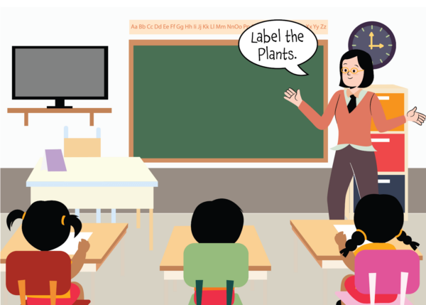 Name the Plants! - Image 4