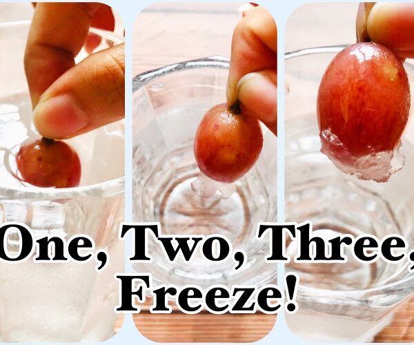 One, Two, Three, Freeze!