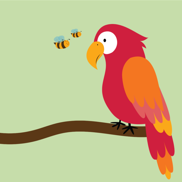 Is It a Bird?