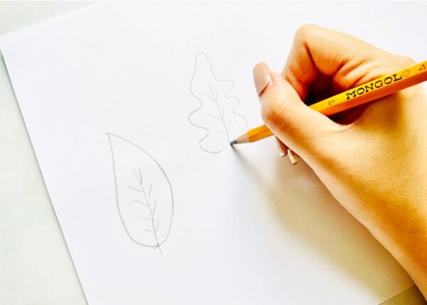 Chalky, Leafy - Image 3
