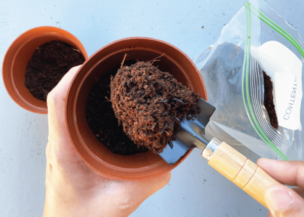 Pop It and Watch It Grow!  - Image 3