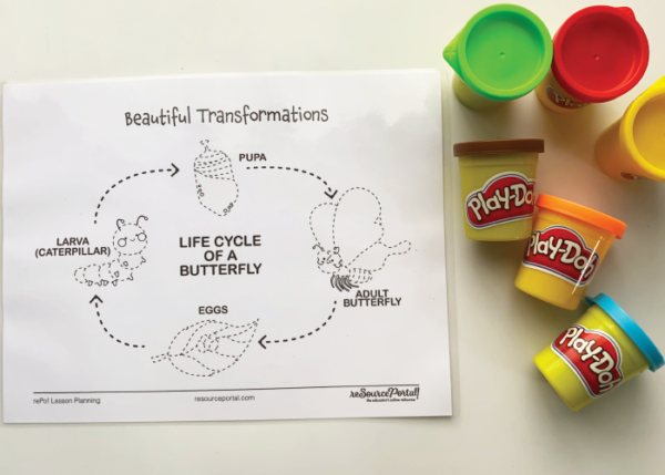 Beautiful Transformations - Image 3