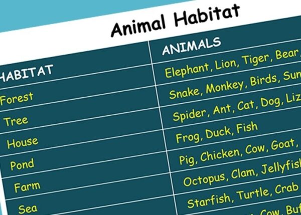 Foam Cup Animals - Image 3