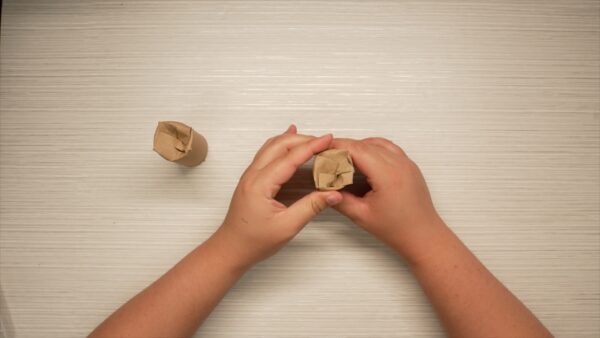 Plug and Plant Seedlings - Image 5
