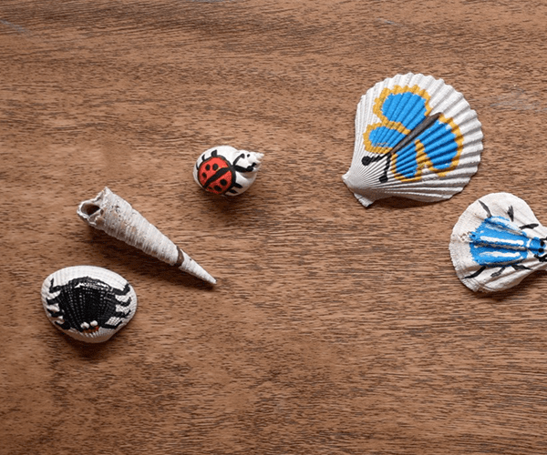 Colorful Shells!