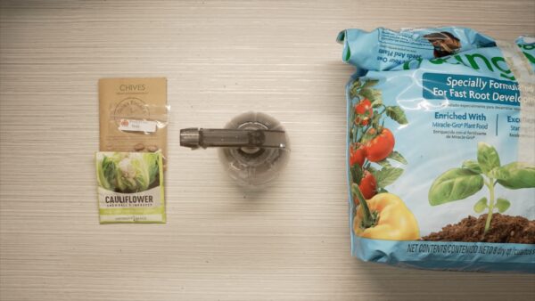 Plug and Plant Seedlings - Image 3