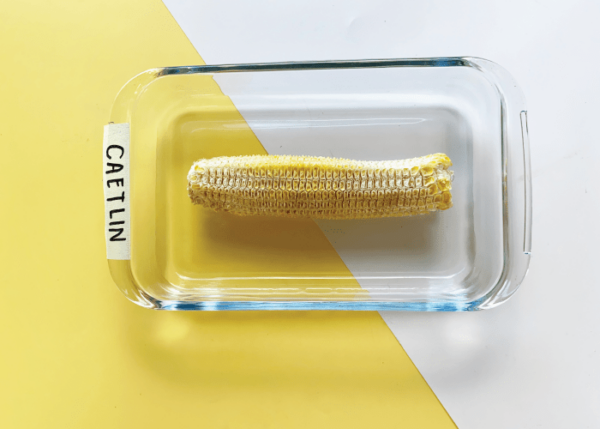 Corny Plant - Image 5