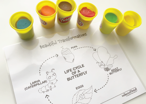Beautiful Transformations - Image 4