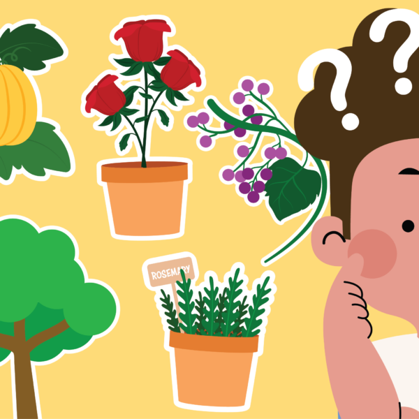 Match Your Plants